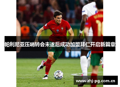 帕利尼亚压哨转会未遂后成功加盟拜仁开启新篇章