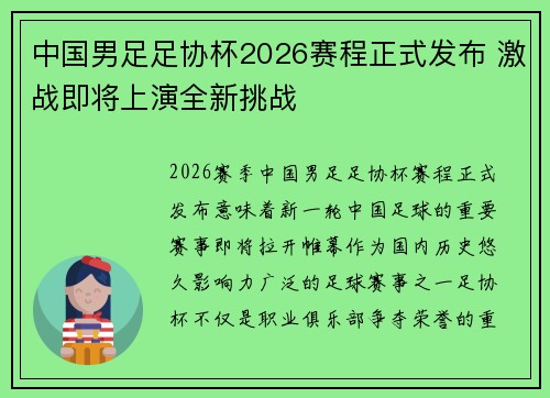 中国男足足协杯2026赛程正式发布 激战即将上演全新挑战